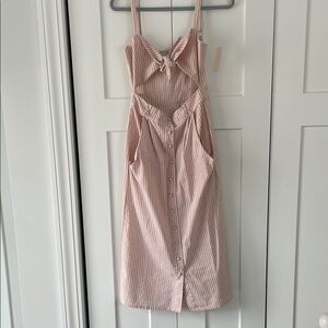 Flynn Skye Pinstripe Dress